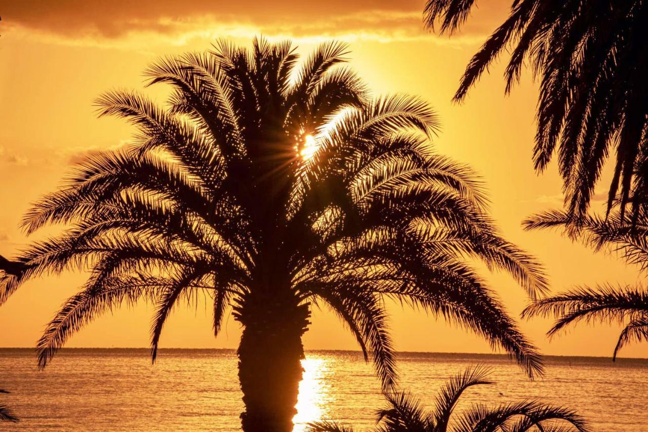 Mare D'Amare Bed & Breakfast San Benedetto del Tronto Exterior photo